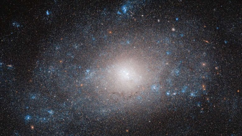 Na cauda do animal representado na Constelação da Ursa Maior, está NGC 5585, uma galáxia espiral que é mais do que parece. As muitas estrelas e nuvens de poeira e gás que constituem a NGC 5585 contribuem apenas com uma pequena fração da massa total da galáxia. Essa discrepância pode ser explicada pela presença abundante, mas aparentemente invisível, de matéria escura, um material misterioso que os astrônomos não conseguem observar diretamente. O disco da galáxia estende-se por mais de 35 mil anos-luz. Pontos quentes de formação estelar, em azul brilhante, aparecem ao longo dos braços espirais da galáxia