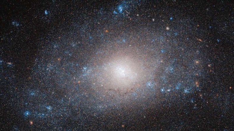 Na cauda do animal representado na Constelação da Ursa Maior, está NGC 5585, uma galáxia espiral que é mais do que parece. As muitas estrelas e nuvens de poeira e gás que constituem a NGC 5585 contribuem apenas com uma pequena fração da massa total da galáxia. Essa discrepância pode ser explicada pela presença abundante, mas aparentemente invisível, de matéria escura, um material misterioso que os astrônomos não conseguem observar diretamente. O disco da galáxia estende-se por mais de 35 mil anos-luz. Pontos quentes de formação estelar, em azul brilhante, aparecem ao longo dos braços espirais da galáxia