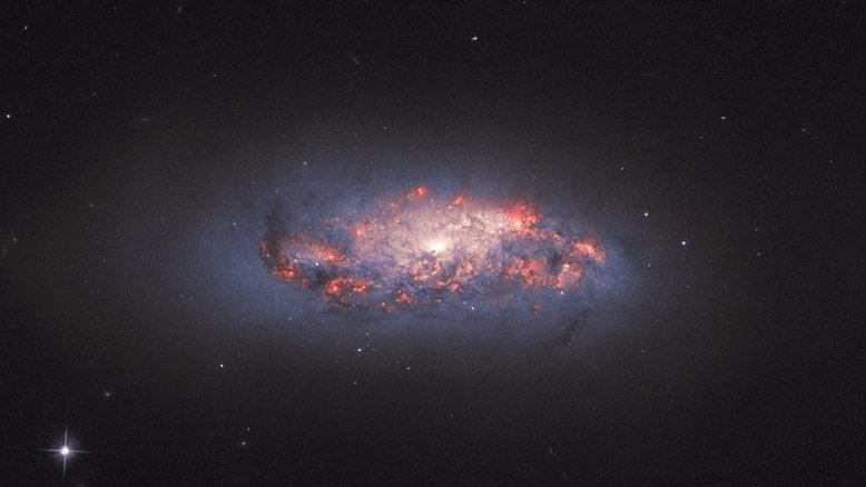 Esta imagem do Telescópio Espacial Hubble mostra bolsões brilhantes e coloridos de formação estelar em uma galáxia espiral chamada NGC 972. O brilho laranja-rosado é criado à medida que o gás hidrogênio reage à intensa luz emitida pelas estrelas recém-nascidas próximas. Essas manchas brilhantes podem ser vistas aqui, em meio a fluxos escuros e emaranhados de poeira cósmica. NGC 972 é conhecida desde 1784, já que foi documentada pelo astrônomo William Herschel. Desde então, os astrônomos mediram a sua distância, que é pouco menos de 70 milhões de anos-luz, na direção da Constelação de Áries