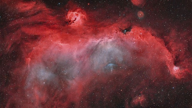 Uma vasta extensão de gás e poeira se assemelha a um pássaro, sugerindo o seu nome popular: Nebulosa da Gaivota. Cobrindo uma faixa de 2,5 graus de largura no plano da Via Láctea, na direção de Sírius, estrela Alfa da constelação do Cão Maior, a região inclui outros objetos como NGC 2327, uma nebulosa compacta de emissão e reflexão, com uma estrela massiva incorporada, na cabeça do pássaro. Como parte de uma estrutura de concha formada por sucessivas explosões de supernovas, a Nebulosa da Gaivota está catalogada como Sh2-296 e IC 2177. O arco azulado, abaixo e à direita, é um choque da estrela em fuga FN Canis Majoris. Este complexo de nuvens de gás e poeira se estende por mais de 200 anos-luz a partir dos 3,8 mil anos-luz de distância da Nebulosa da Gaivota
