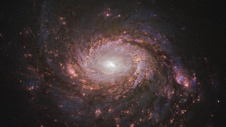 A galáxia espiral M77 fica a apenas 47 milhões de anos-luz de distância da Terra, na direção da Constelação de Cetus. Com cerca de 100 mil anos-luz de diâmetro, ela também é conhecida como NGC 1068. A galáxia e seu núcleo ativo brilham nos comprimentos de onda de raios X, ultravioleta, visível, infravermelho e rádio. Esta imagem nítida de M77 foi obtida pelo Telescópio Espacial Hubble e é dominada pela luz vermelha visível, emitida pelo hidrogênio. A imagem mostra detalhes de seus braços espirais sinuosos, traçados por nuvens de poeira escura e regiões de formação estelar, na cor vermelha, próximas do seu núcleo luminoso