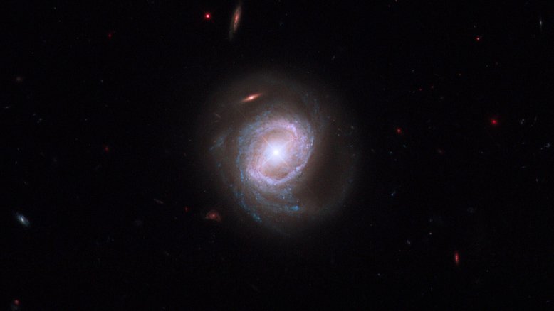 Anéis de estrelas azuis circundam o núcleo brilhante e ativo desta galáxia espiral. Chamado de Markarian 817, este objeto fica a 430 milhões de anos-luz de distância, na direção da boreal Constelação de Draco (“O Dragão”). Longe do centro, vê-se intensas regiões de formação estelar e faixas escuras de poeira interestelar ao longo dos seus braços espirais. O monstruoso buraco negro no centro desta galáxia é quarenta milhões de vezes mais massivo que o Sol