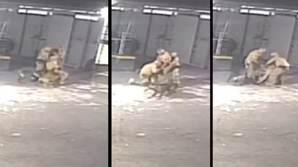 Vídeo: policiais brigam por causa da escala de folga na Páscoa e são mordidos por cães do grupamento