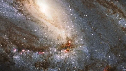 O Hubble capturou esta vista espetacular da maior entre as galáxias do Trio do Leão, que tem uma anatomia incomum: ela exibe braços espirais assimétricos e um núcleo aparentemente deslocado. A anatomia peculiar é provavelmente causada pela atração gravitacional dos outros dois membros do trio. A incomum galáxia espiral, chamada de Messier 66, está localizada a uma distância de cerca de 35 milhões de anos-luz, na direção da Constelação de Leão. Juntamente com Messier 65 e NGC 3628, Messier 66 forma um trio de galáxias espirais em interação