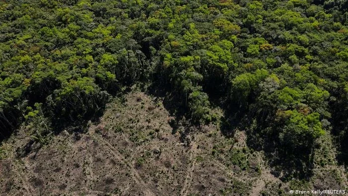 Relatório liga bancos a fazendas com ficha suja na Amazônia