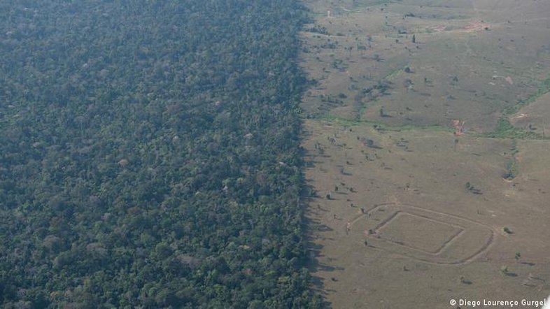 O que falta para o Brasil ter uma agenda verde efetiva
