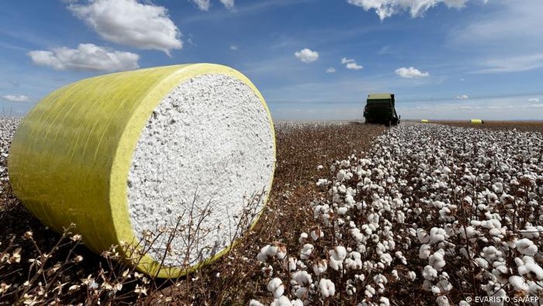 Investigação liga crimes no Cerrado a gigantes da moda na Europa