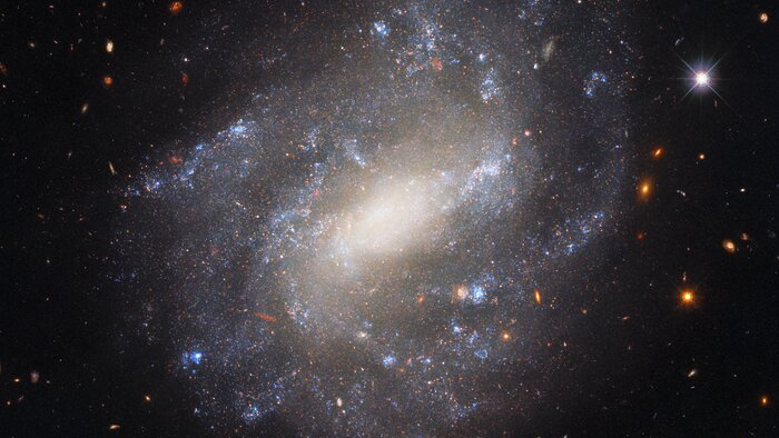 A solitária galáxia espiral UGC 9391 aparece nesta imagem do Telescópio Espacial Hubble. A 130 milhões de anos-luz da Terra, na direção da Constelação de Draco, ela está perto do Polo Celeste Norte. Os braços espirais repletos de estrelas ficam isolados em meio ao cenário de galáxias distantes, que são visíveis apenas como redemoinhos indistintos ou manchas. A imagem também apresenta algumas estrelas em primeiro plano, muito mais brilhantes, pois estão mais próximas da Terra