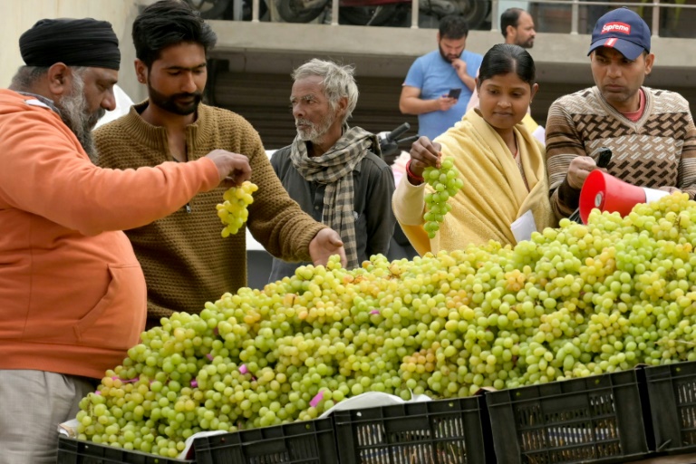 Produção mundial de vinho caiu 10% em 2023