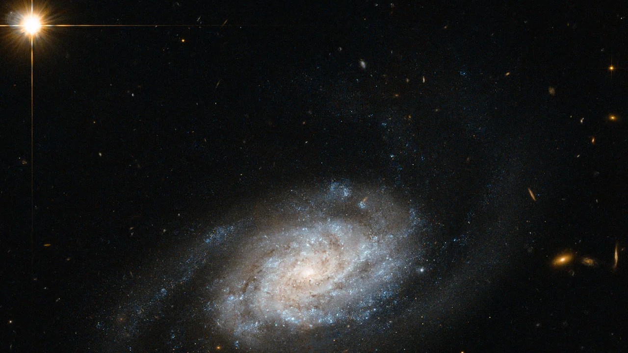 Esta é a galáxia espiral NGC 3455, que fica a cerca de 65 milhões de anos-luz de distância, na Constelação de Leão. As galáxias são classificadas em diferentes tipos, de acordo com sua estrutura e aparência. NGC 3455 é uma galáxia do tipo SB: uma espiral barrada. As galáxias espirais barradas representam aproximadamente dois terços de todas as espirais. Galáxias deste tipo parecem ter uma barra de estrelas cortando o bulbo em seu centro