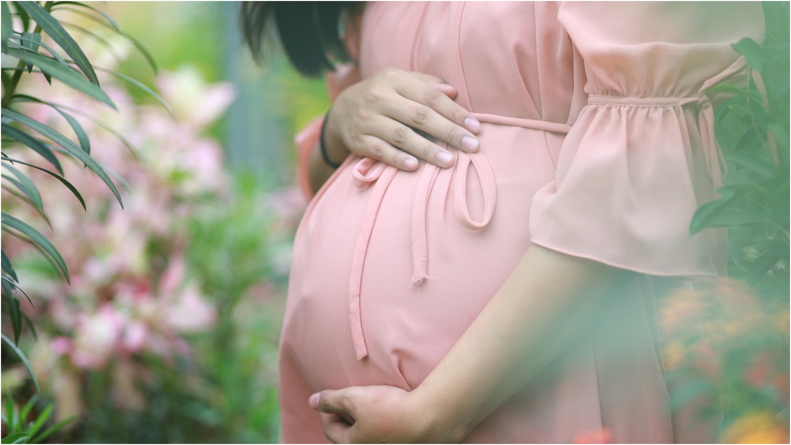 INSS aciona AGU e emite alerta sobre salário-maternidade após publicações de influencers viralizarem