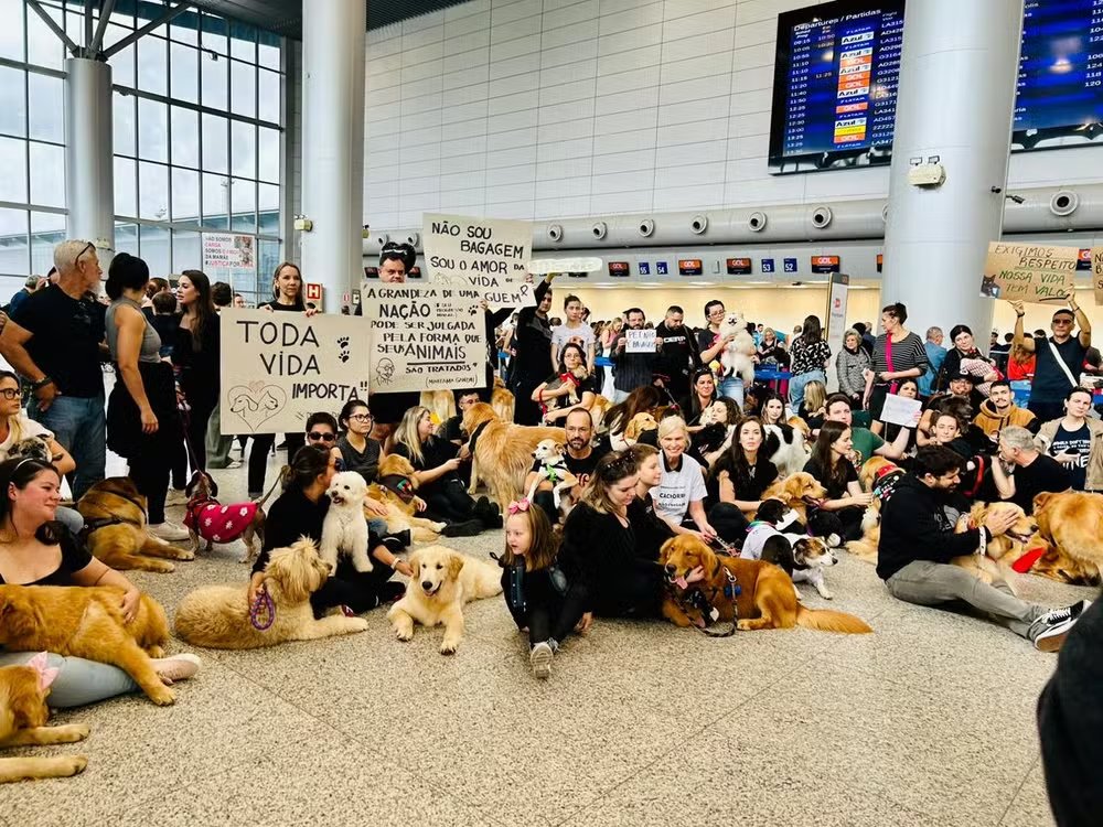 Morte do cão Joca: manifestantes protestam em aeroportos do país