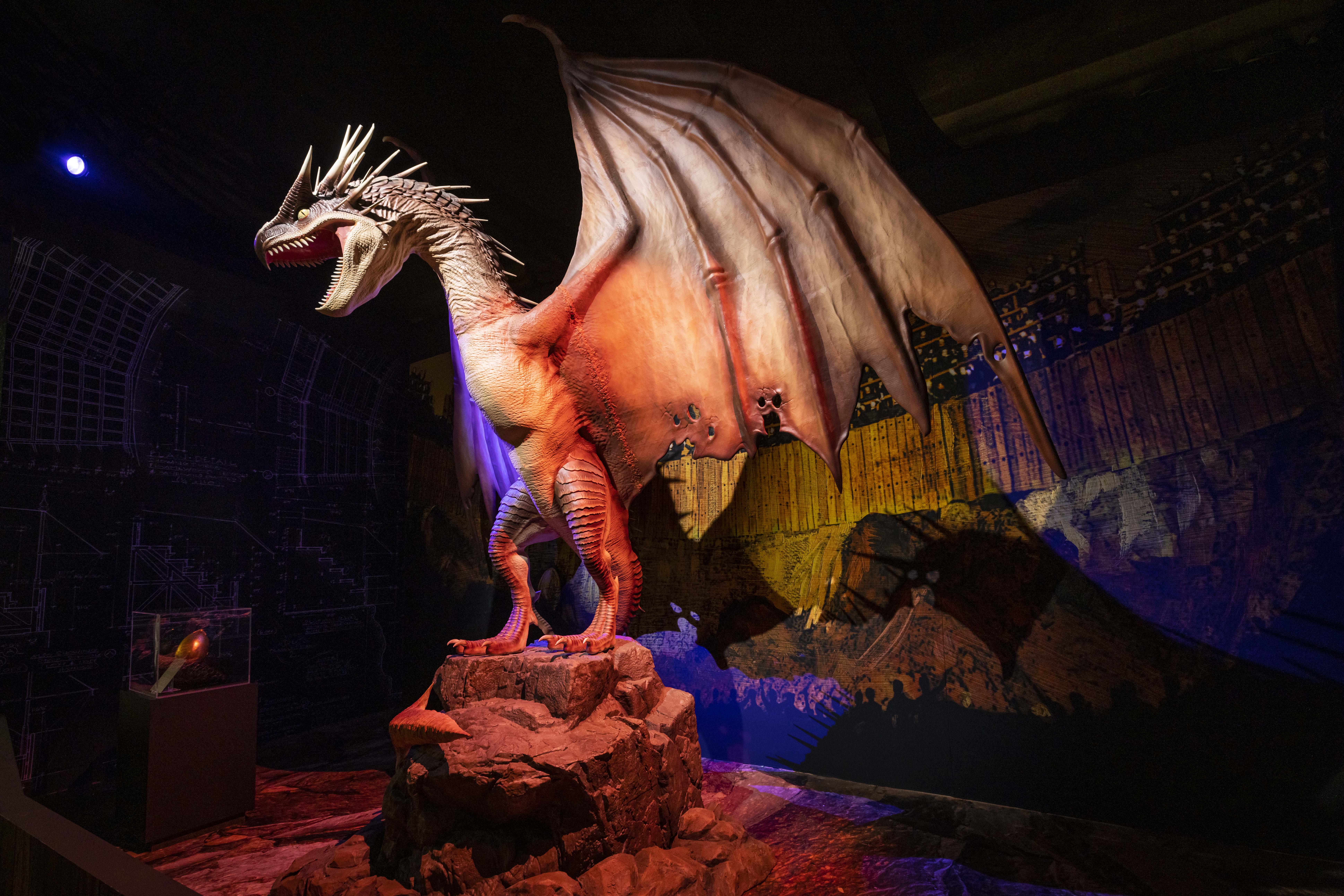 'Harry Potter: The Exhibition': exposição interativa sobre o universo expandido de Harry Potter chega no Brasil
