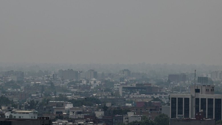 Greenpeace joga 'lixo eleitoral' na sede de partidos mexicanos