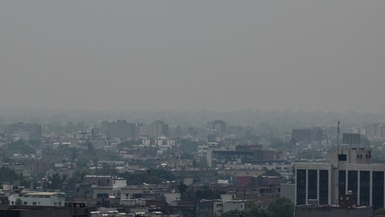 Greenpeace joga 'lixo eleitoral' na sede de partidos mexicanos