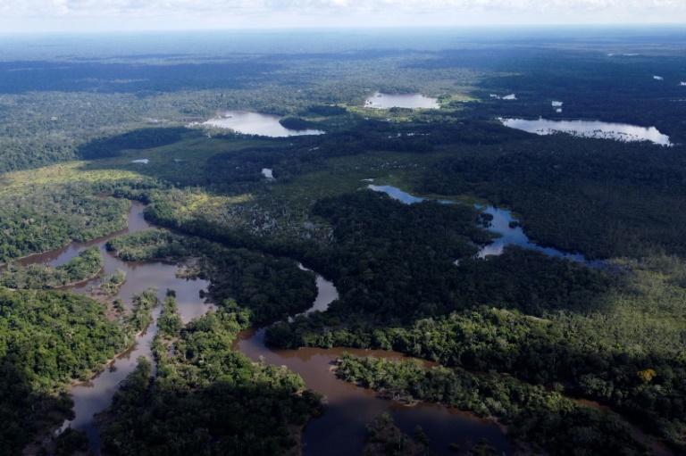 Peru cria reserva indígena na Amazônia para proteger povos em isolamento