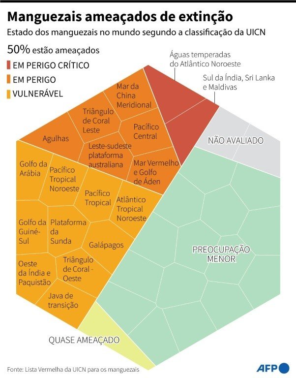 Metade dos ecossistemas de manguezais estão em risco, diz estudo