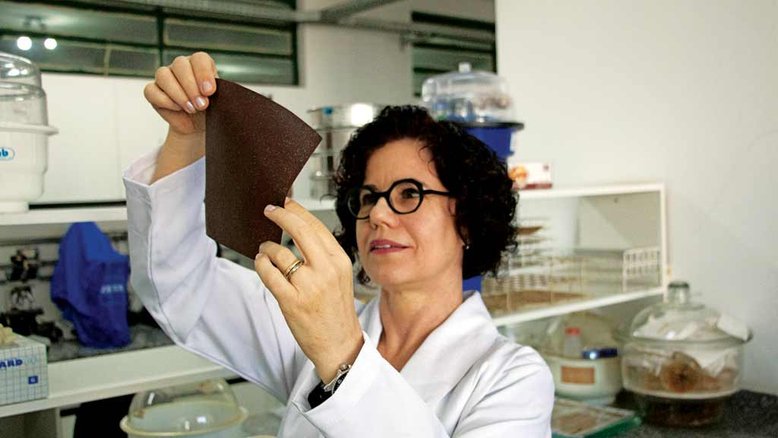 Bioplástico feito de casca de banana foi desenvolvido pela Embrapa e UFSCar