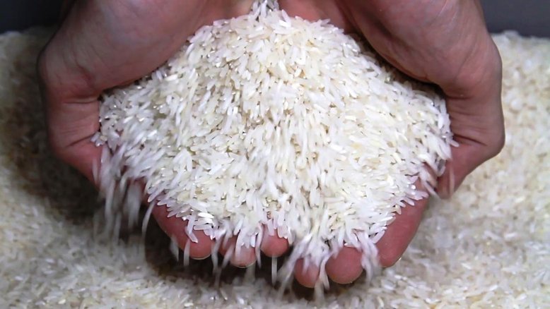 Diretor da Conab responsável por leilão de arroz anulado é destituído