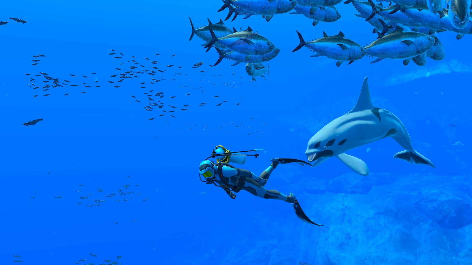 Endless Ocean: novo jogo de Switch é um mergulho virtual sem passar de fase
