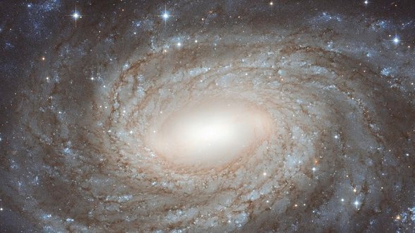 A galáxia espiral NGC 6384 fica a 77 milhões de anos-luz de distância, na Constelação do Serpentário, não muito longe do centro da Via Láctea, no céu. O posicionamento da NGC 6384 faz com que ela tenha de ser observada através de muitas estrelas da Via Láctea, que ficam em primeiro plano. Em 1971, uma estrela membro da NGC 6384 destacou-se em relação às demais, pois explodiu em uma supernova. Foi uma supernova do Tipo Ia, que ocorre quando uma estrela compacta que cessou a fusão no seu núcleo, chamada de anã branca, aumenta a sua massa para além de um limite crítico, engolindo matéria de uma estrela companheira