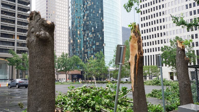 Árvores destruídas pela tempestade em Houston, Texas, em 17 de maio de 2024