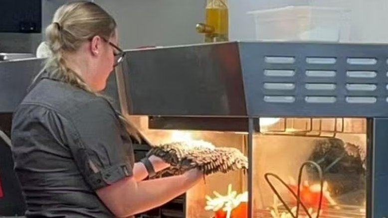 Funcionária de McDonald's é flagrada secando esfregão sujo no aquecedor de batatas fritas