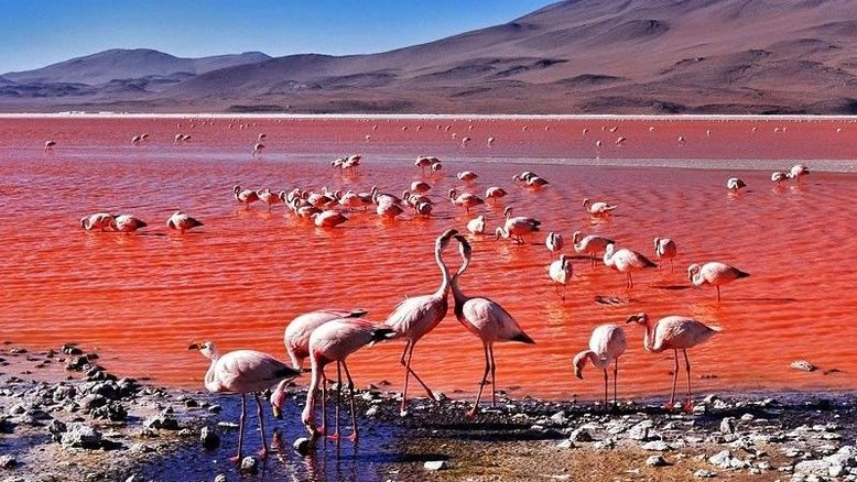 Salar de Uyuni