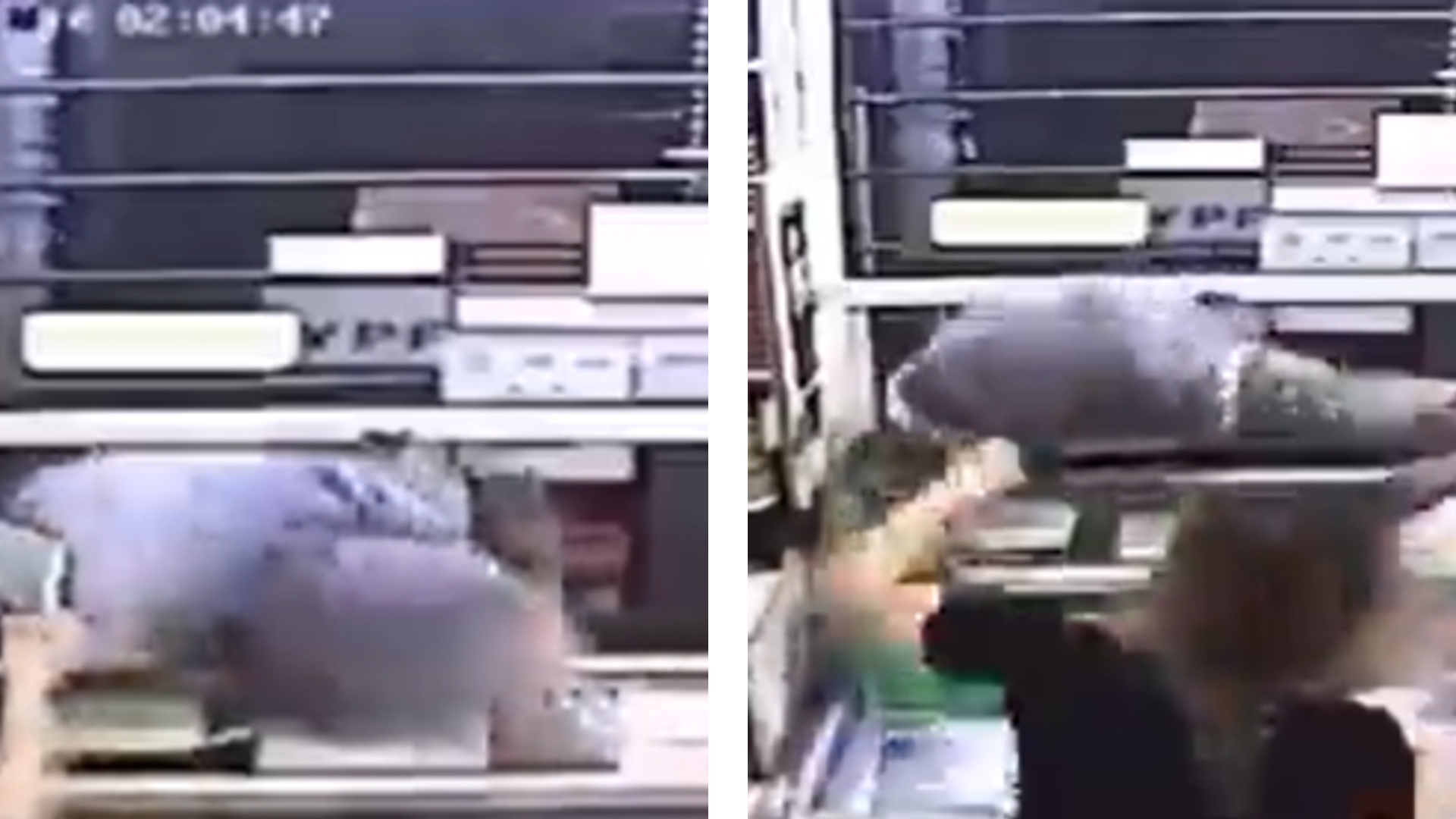 Vídeo: funcionária de quiosque aplica golpes de kickboxing em ladrão e impede assalto