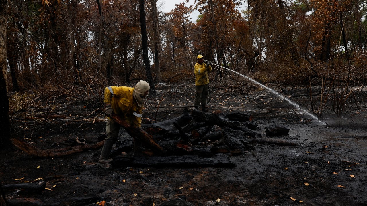 Pantanal: queimadas crescem 980% e previsão é de seca extrema