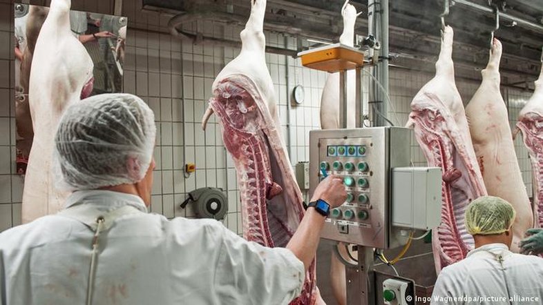 Indústria da carne sofre com mudança na dieta alemã