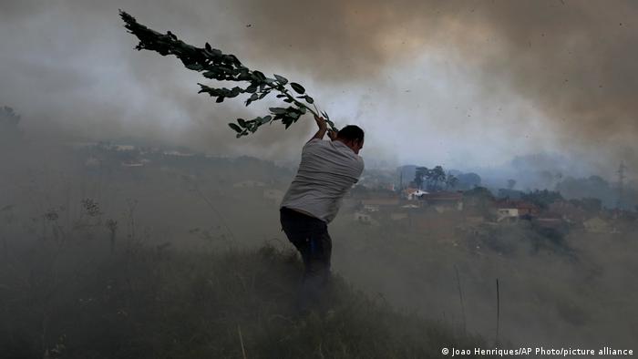 UE não está preparada para ameaça de incêndios florestais