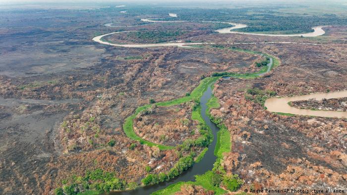 Mapbiomas: Brasil está secando e situação mais crítica é no Pantanal