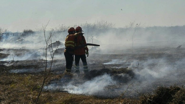 AFP