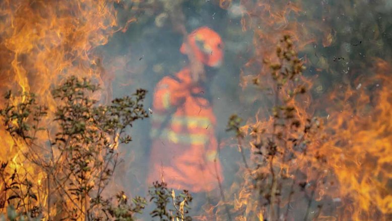 Queimadas no Pantanal podem bater recorde histórico em 2024