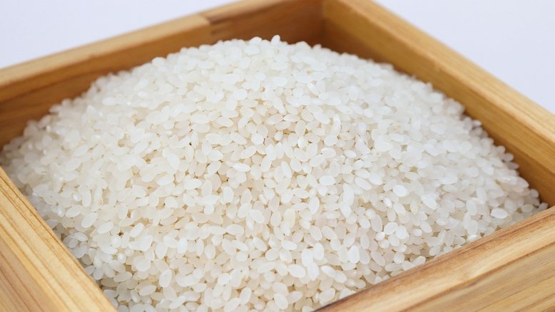 Após anulação de leilão de arroz da Conab, governo avalia novo arremate