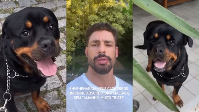 Reprodução / Instagram