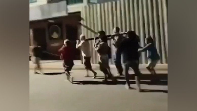 Reprodução