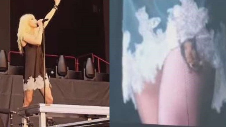 Taylor Momsen é mordida na perna por morcego em show