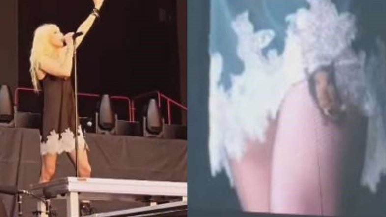 Taylor Momsen é mordida na perna por morcego em show