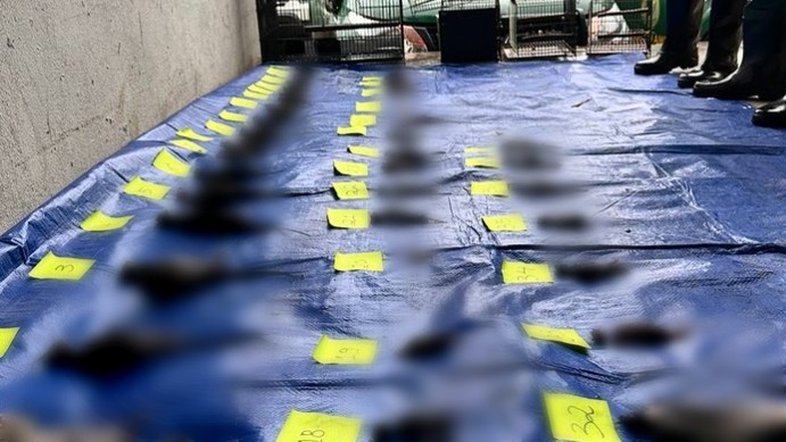 Reprodução/Redes Sociais/Samieh Saleh