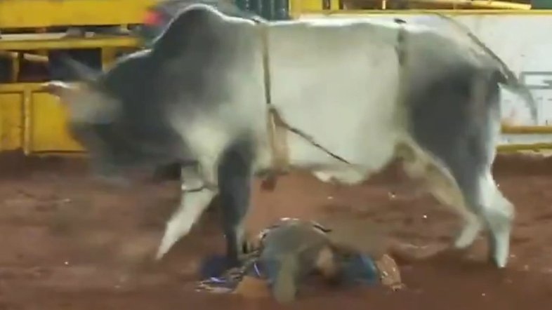 Reprodução/YouTube/Portal Patos Hoje