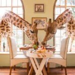 Fotos: veja resort das girafas, com diárias de até R$ 34 mil, onde Deborah Secco passa férias