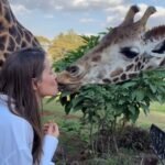 Fotos: veja resort das girafas, com diárias de até R$ 34 mil, onde Deborah Secco passa férias