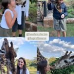 Fotos: veja resort das girafas, com diárias de até R$ 34 mil, onde Deborah Secco passa férias