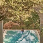 Fotos: veja resort das girafas, com diárias de até R$ 34 mil, onde Deborah Secco passa férias