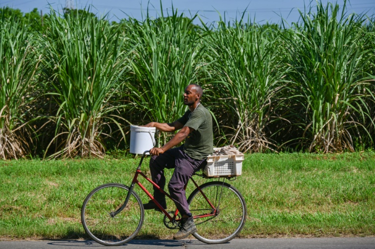 Em Cuba, cooperativa de cana-de-açúcar luta contra apagões e escassez de insumos