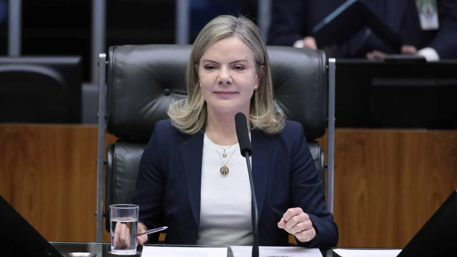 Deputada federal Gleisi Hoffmann (PT-PR)