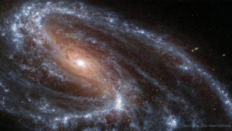 Por que a galáxia espiral M66 não é simétrica? Normalmente, ondas de densidade de gás, poeira e estrelas recém-formadas circundam o centro de uma galáxia espiral, criando uma galáxia quase simétrica. As diferenças entre os braços espirais de M66 e o ​​aparente deslocamento de seu núcleo são provavelmente resultado de interações anteriores e da atração gravitacional das galáxias vizinhas M65 e NGC 3628. Retratada nesta imagem em luz infravermelha pelo Telescópio Espacial James Webb, M66 fica a cerca de 35 milhões de anos-luz de distância. Ela é a maior galáxia do Trio de Leão, que recebeu este nome por estar localizado na direção da Constelação de Leão