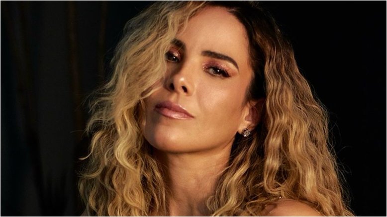 Carro de Wanessa Camargo pega fogo durante viagem na estrada